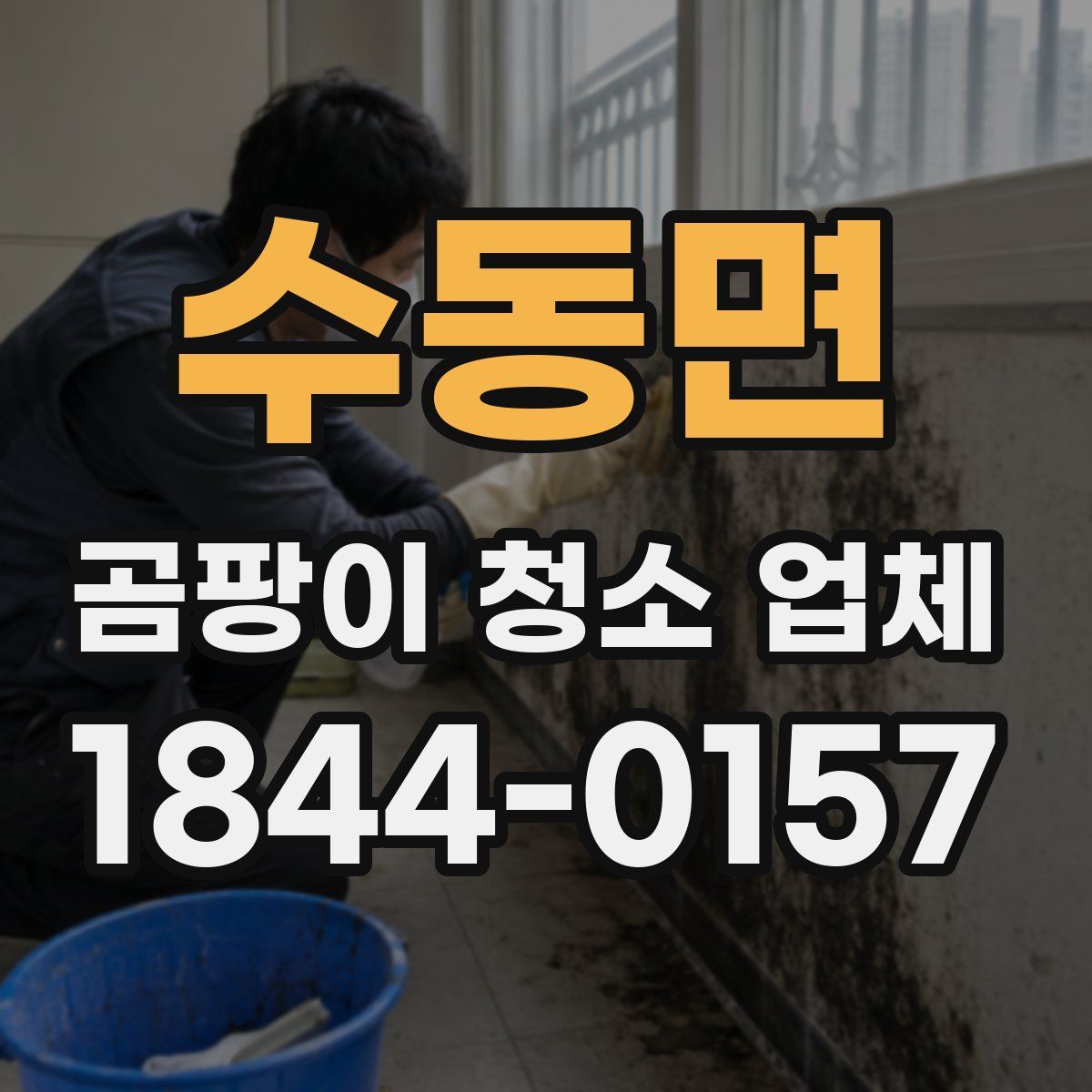 수동면 곰팡이 청소 업체