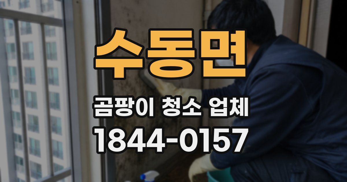 수동면 곰팡이 청소 업체