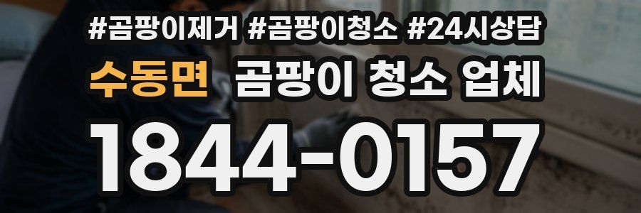 수동면 곰팡이 청소 업체