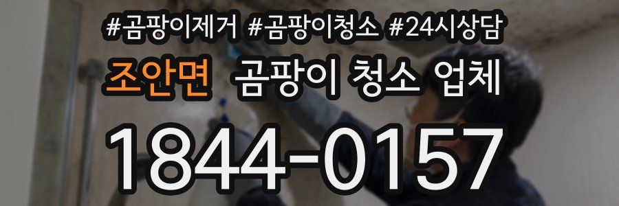 조안면 곰팡이 청소 업체