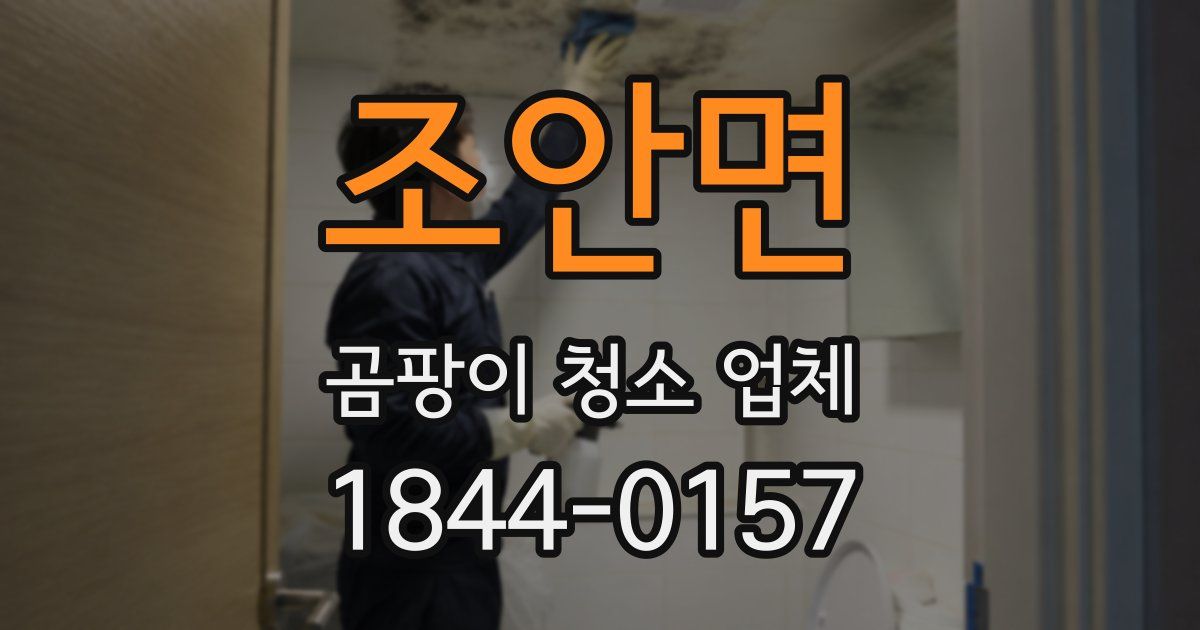 조안면 곰팡이 청소 업체