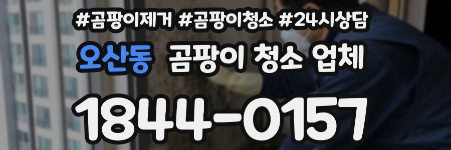 오산동 곰팡이 청소 업체