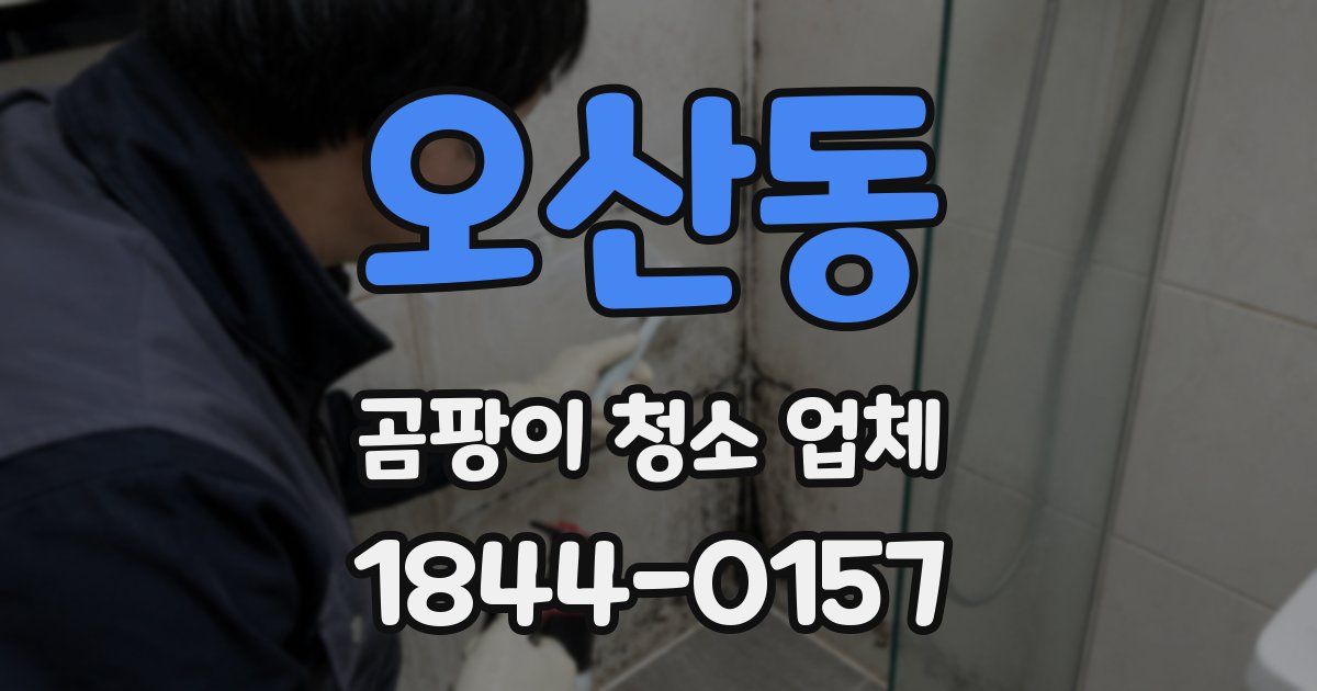 오산동 곰팡이 청소 업체