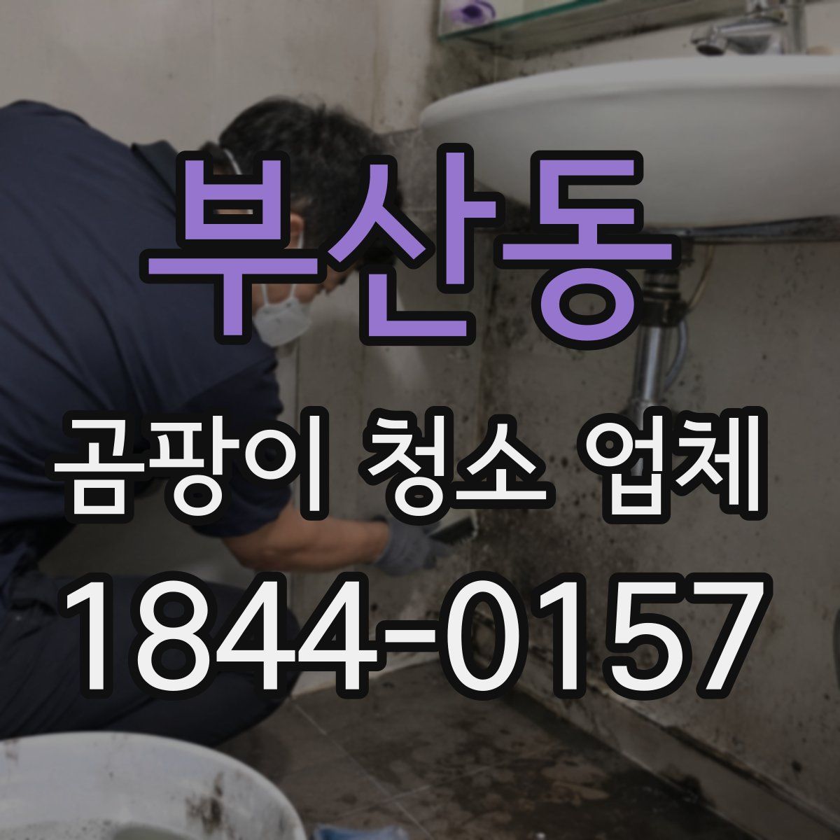 부산동 곰팡이 청소 업체