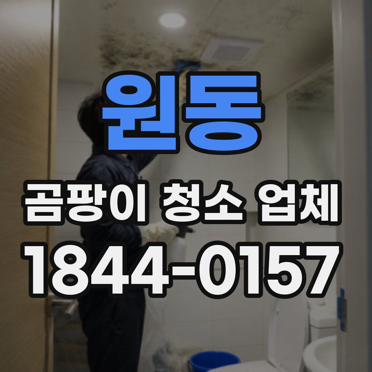원동 곰팡이 청소 업체
