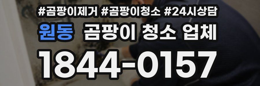 원동 곰팡이 청소 업체