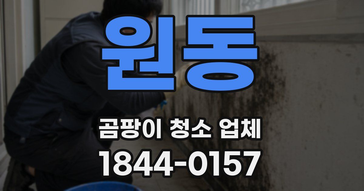 원동 곰팡이 청소 업체