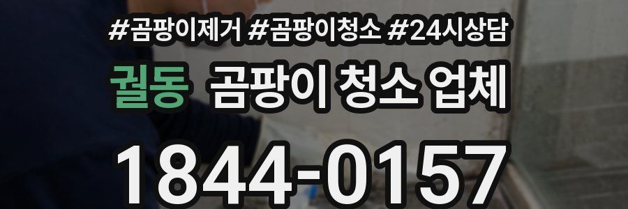 궐동 곰팡이 청소 업체