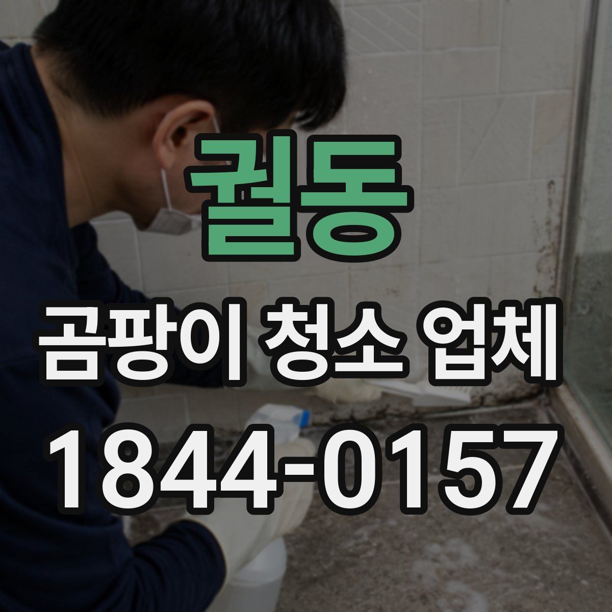궐동 곰팡이 청소 업체