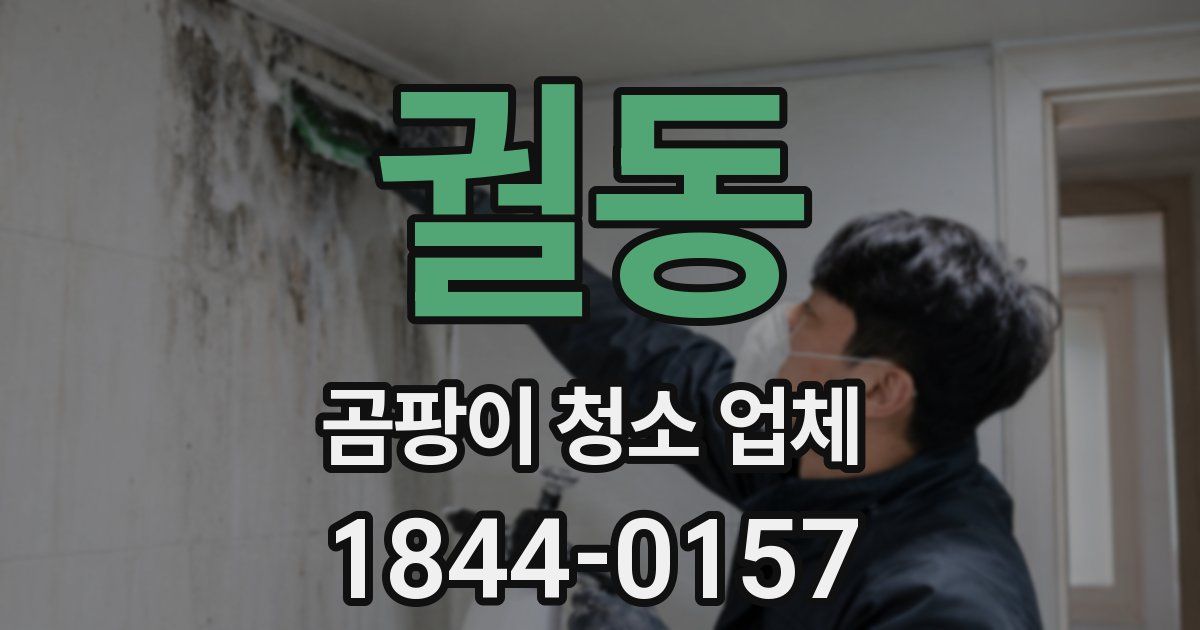 궐동 곰팡이 청소 업체