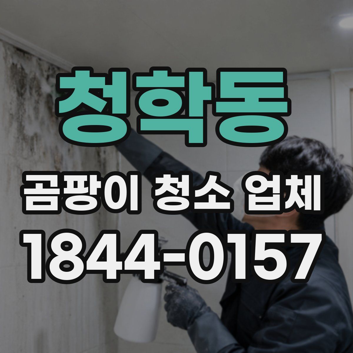 청학동 곰팡이 청소 업체
