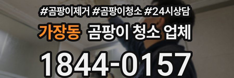 가장동 곰팡이 청소 업체