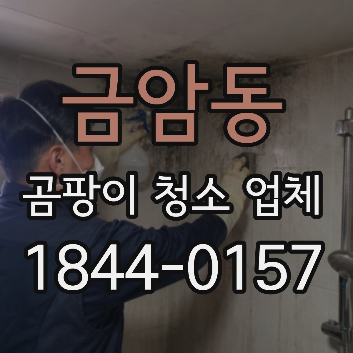 금암동 곰팡이 청소 업체