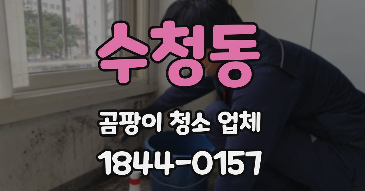 수청동 곰팡이 청소 업체