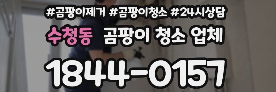 수청동 곰팡이 청소 업체