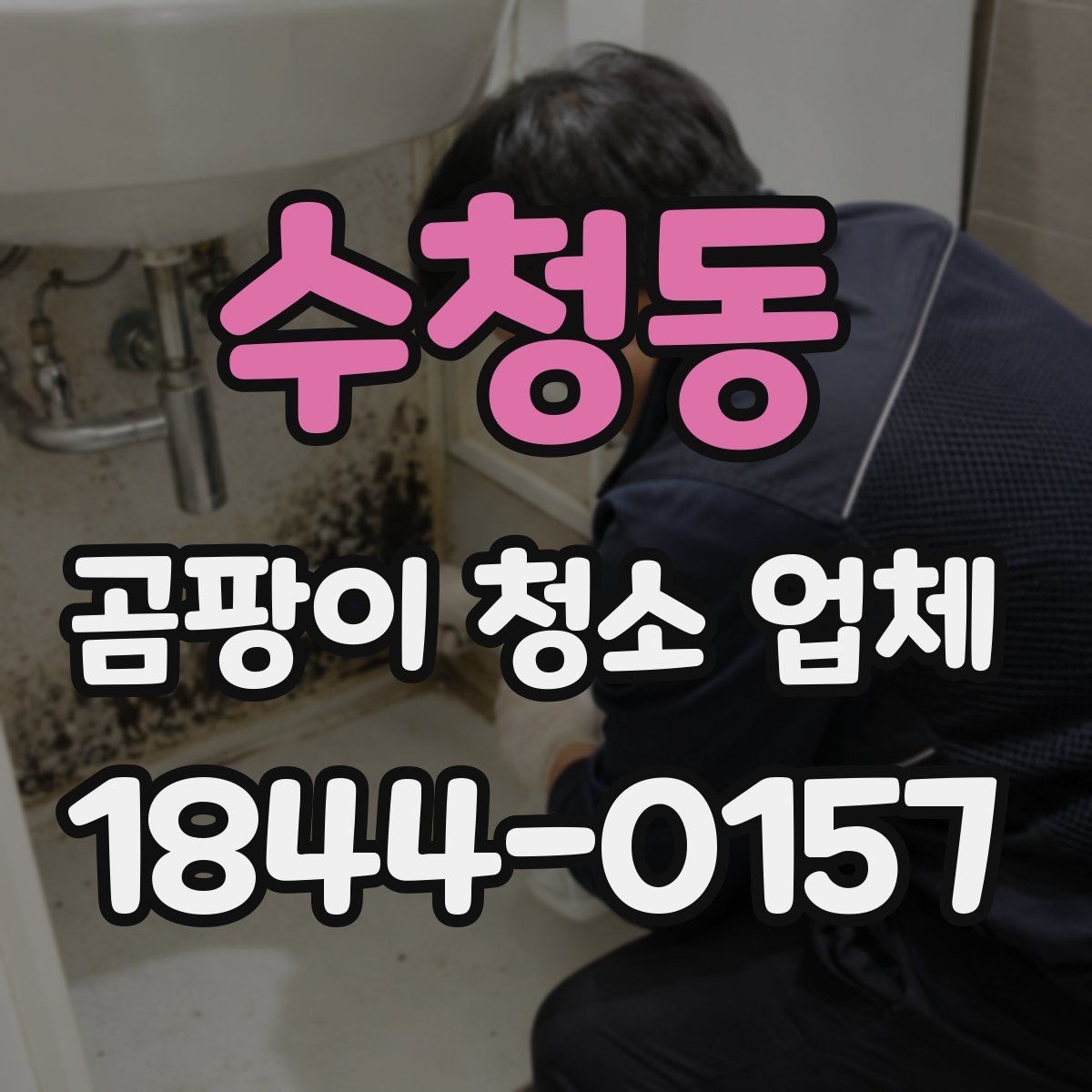 수청동 곰팡이 청소 업체