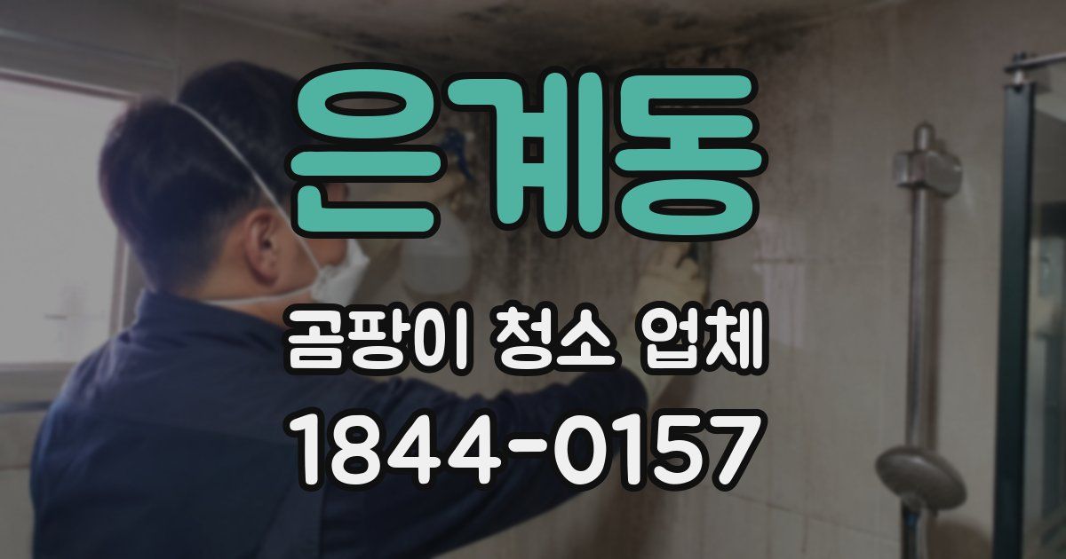 은계동 곰팡이 청소 업체