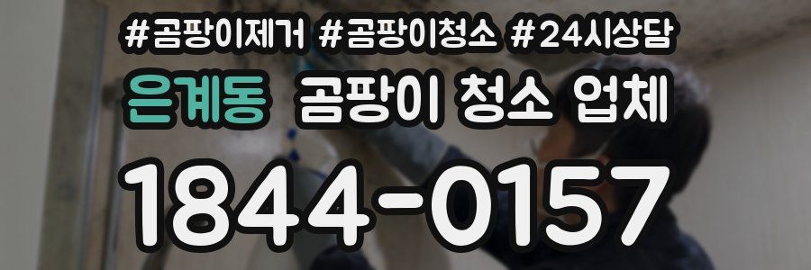 은계동 곰팡이 청소 업체