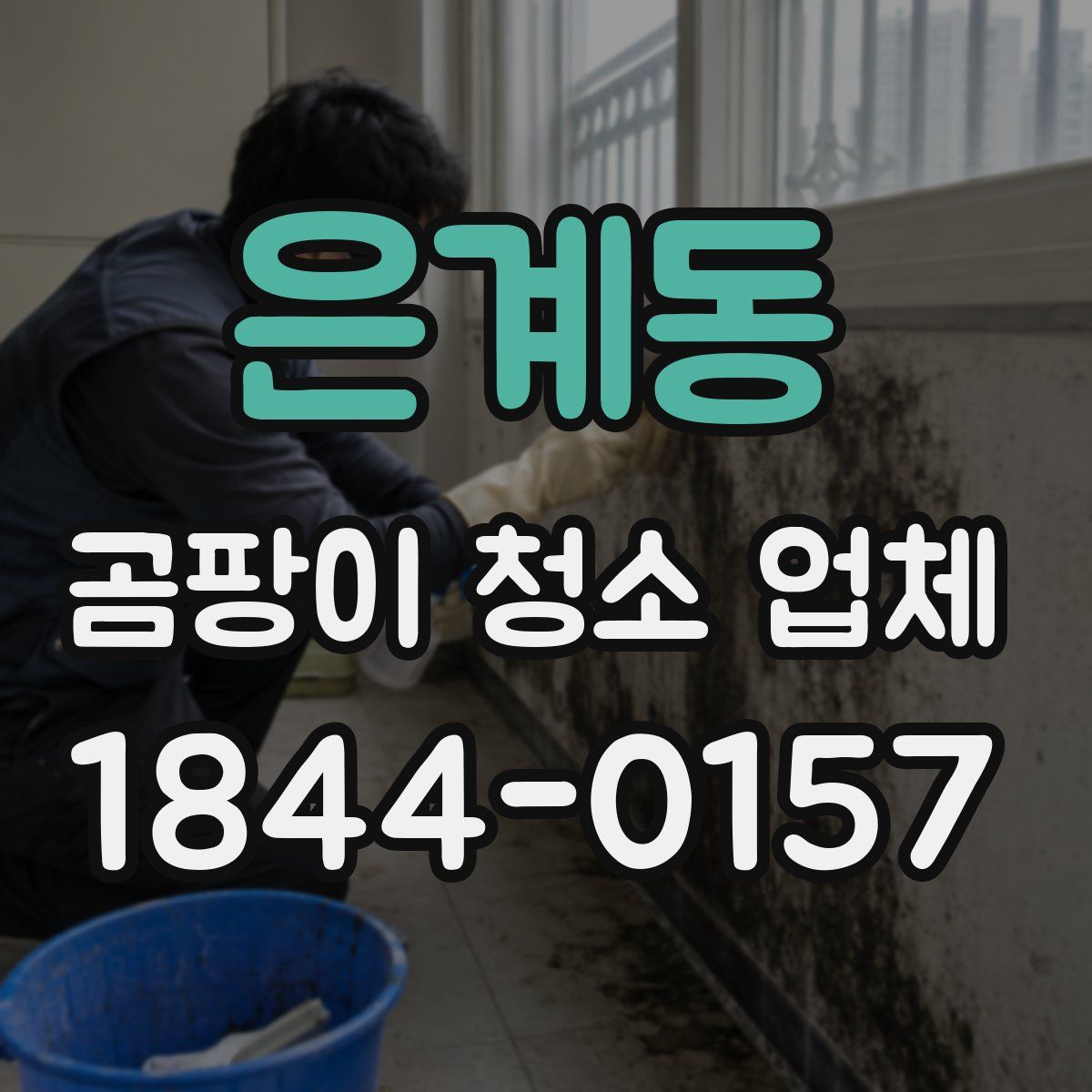 은계동 곰팡이 청소 업체