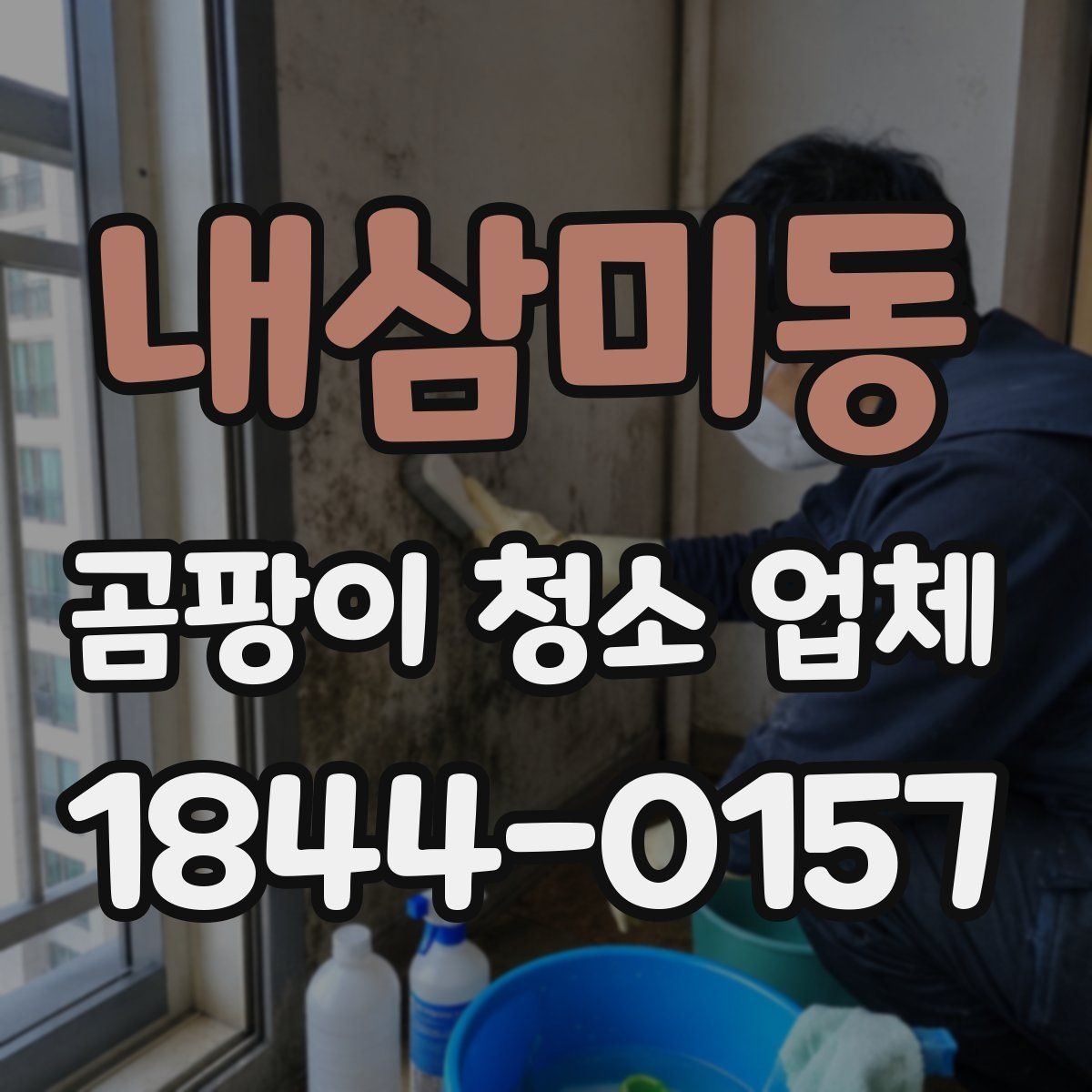 내삼미동 곰팡이 청소 업체