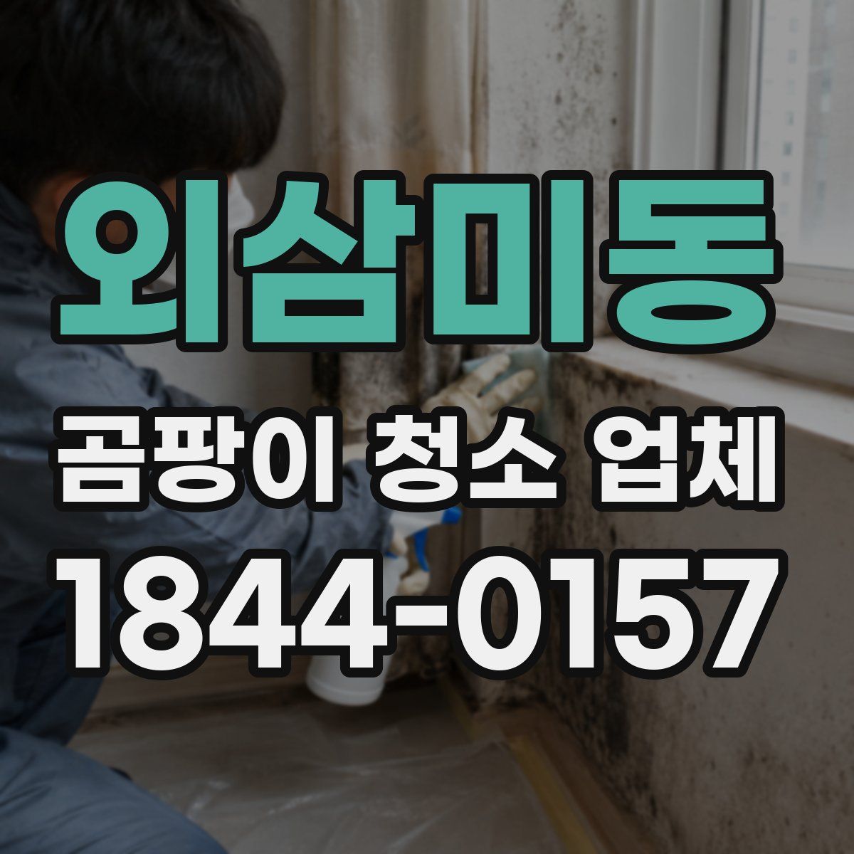 외삼미동 곰팡이 청소 업체