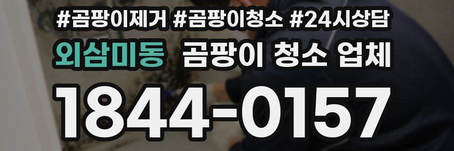 외삼미동 곰팡이 청소 업체