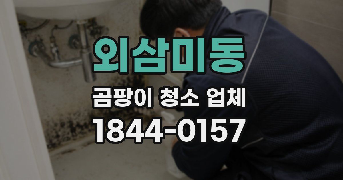 외삼미동 곰팡이 청소 업체