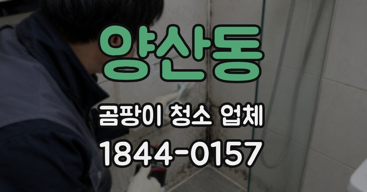 양산동 곰팡이 청소 업체