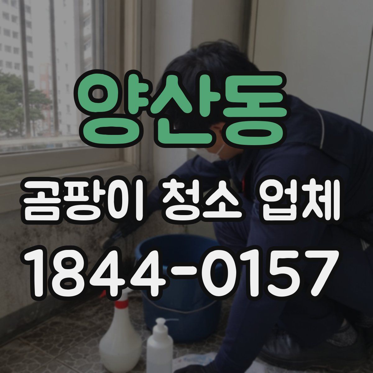 양산동 곰팡이 청소 업체