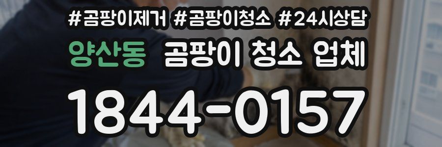 양산동 곰팡이 청소 업체