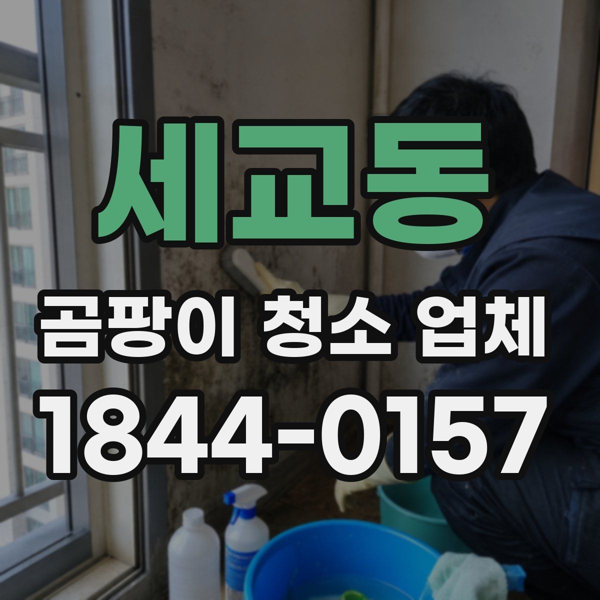 세교동 곰팡이 청소 업체
