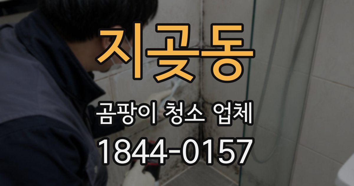 지곶동 곰팡이 청소 업체
