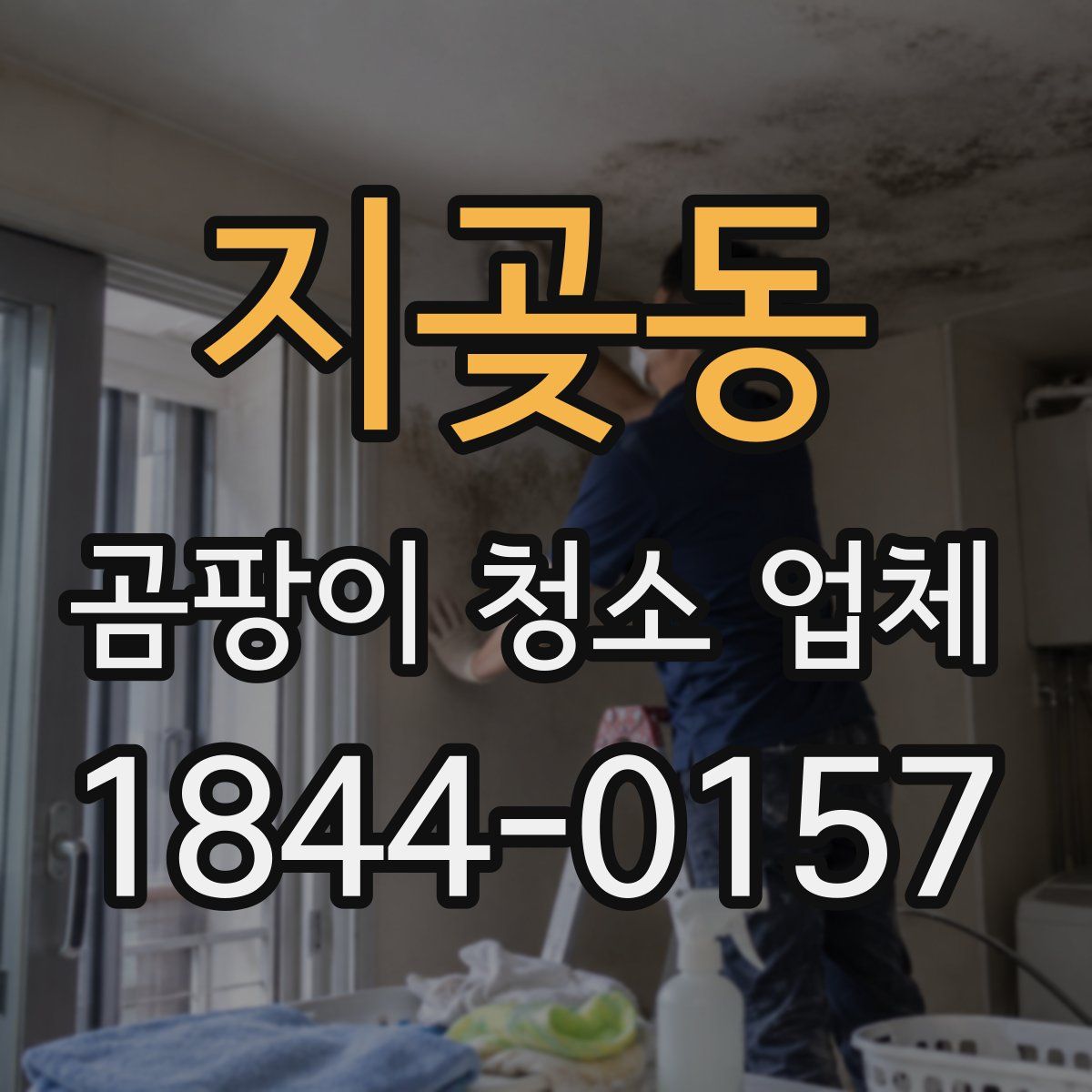 지곶동 곰팡이 청소 업체