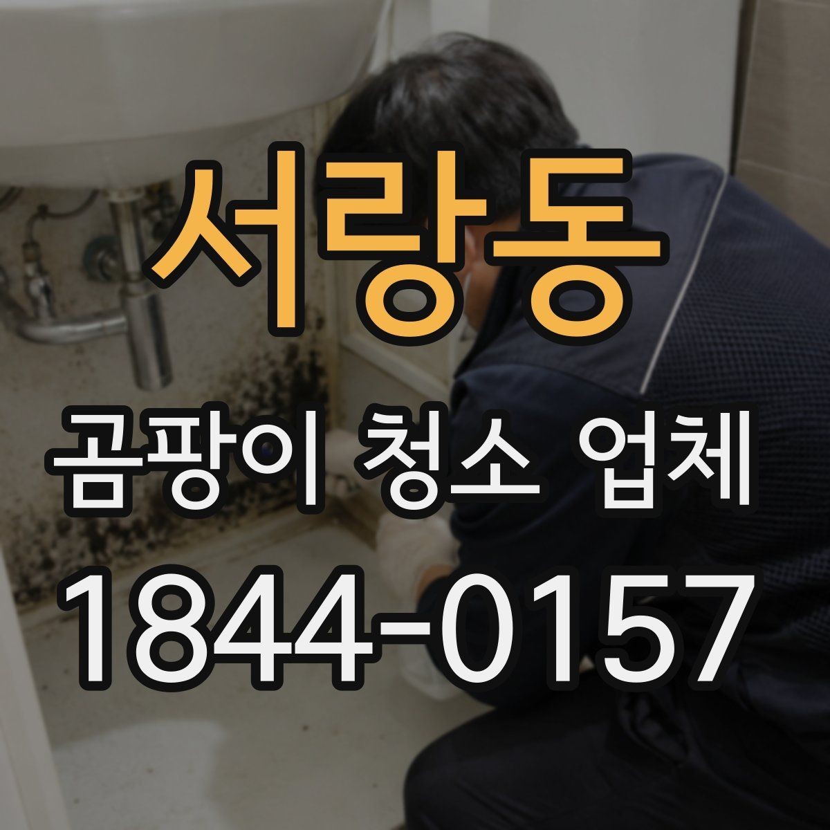 서랑동 곰팡이 청소 업체 현장 진단으로 확인하는 오염 깊이