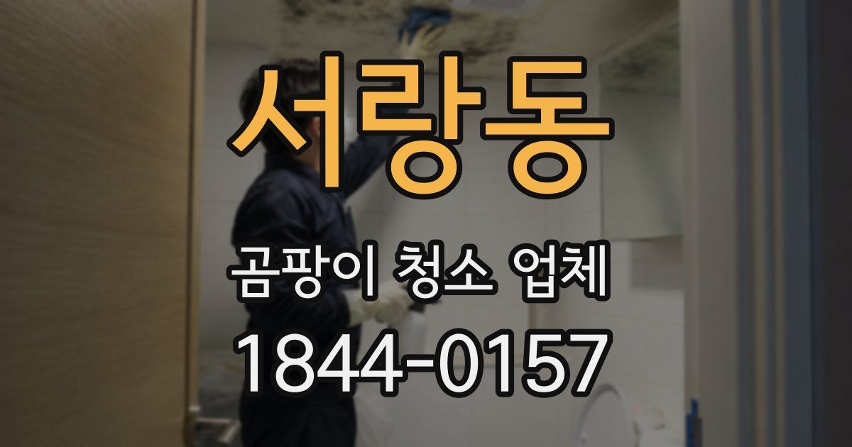 서랑동 곰팡이 청소 업체
