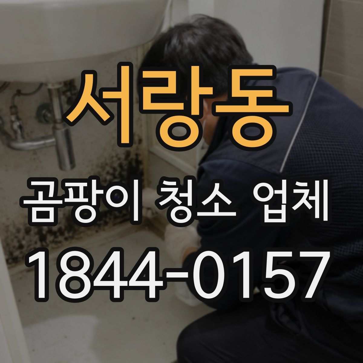 서랑동 곰팡이 청소 업체