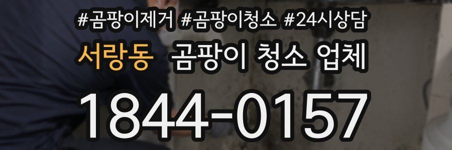 서랑동 곰팡이 청소 업체