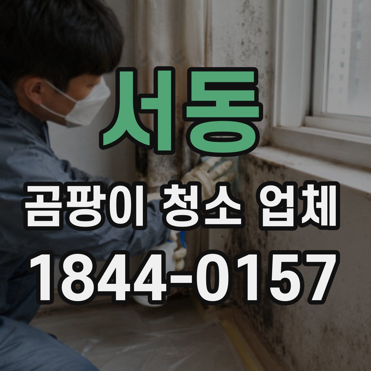 서동 곰팡이 청소 업체