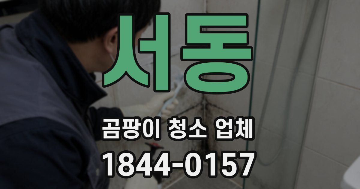 서동 곰팡이 청소 업체