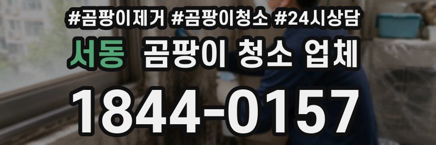 서동 곰팡이 청소 업체