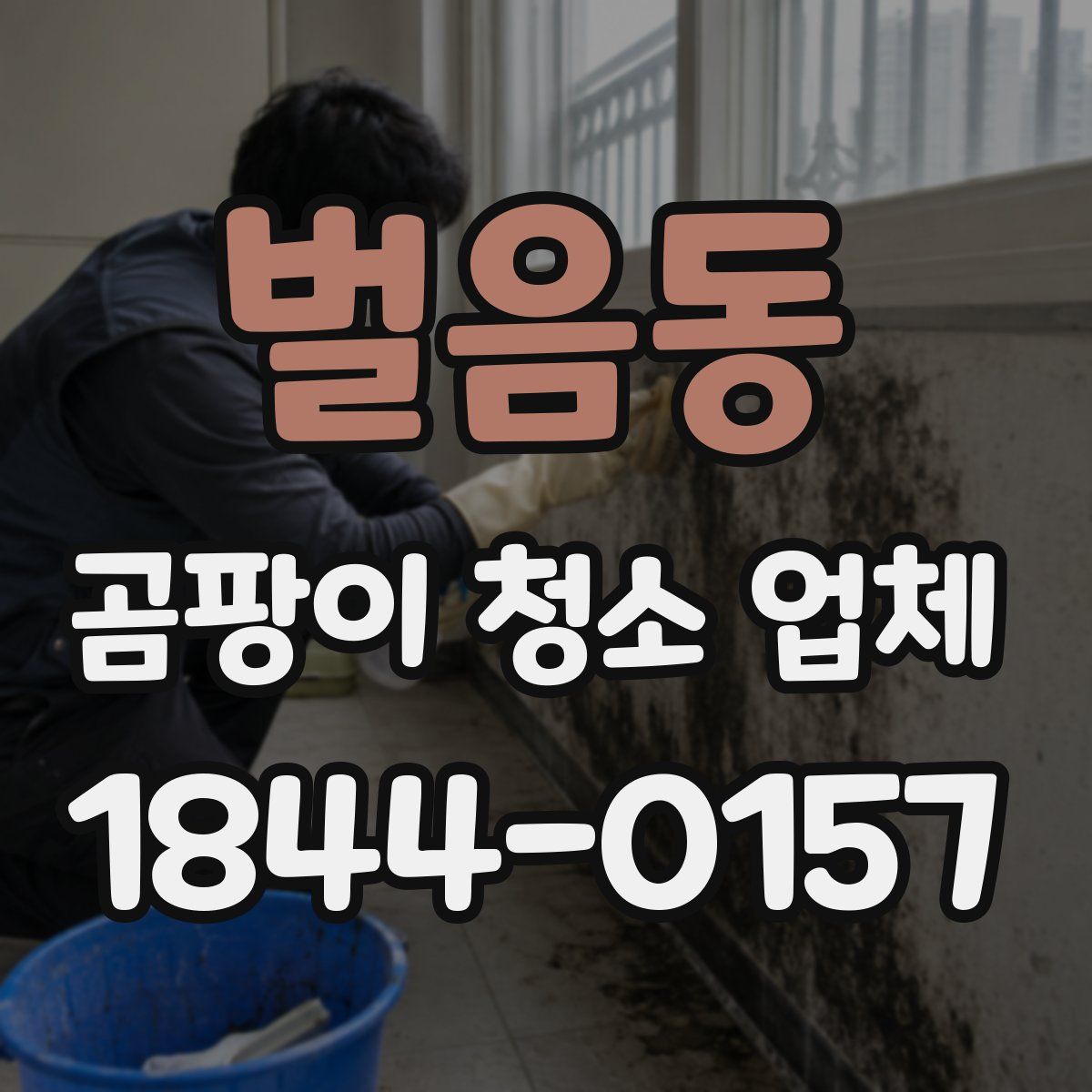 벌음동 곰팡이 청소 업체