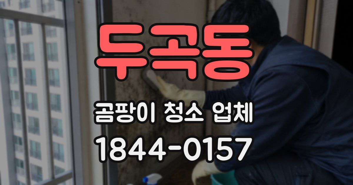 두곡동 곰팡이 청소 업체