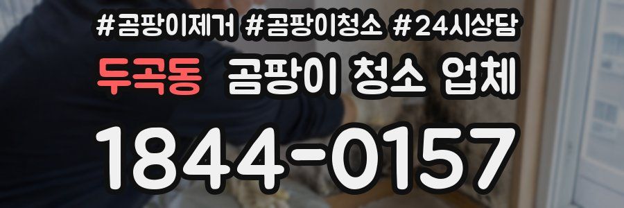 두곡동 곰팡이 청소 업체