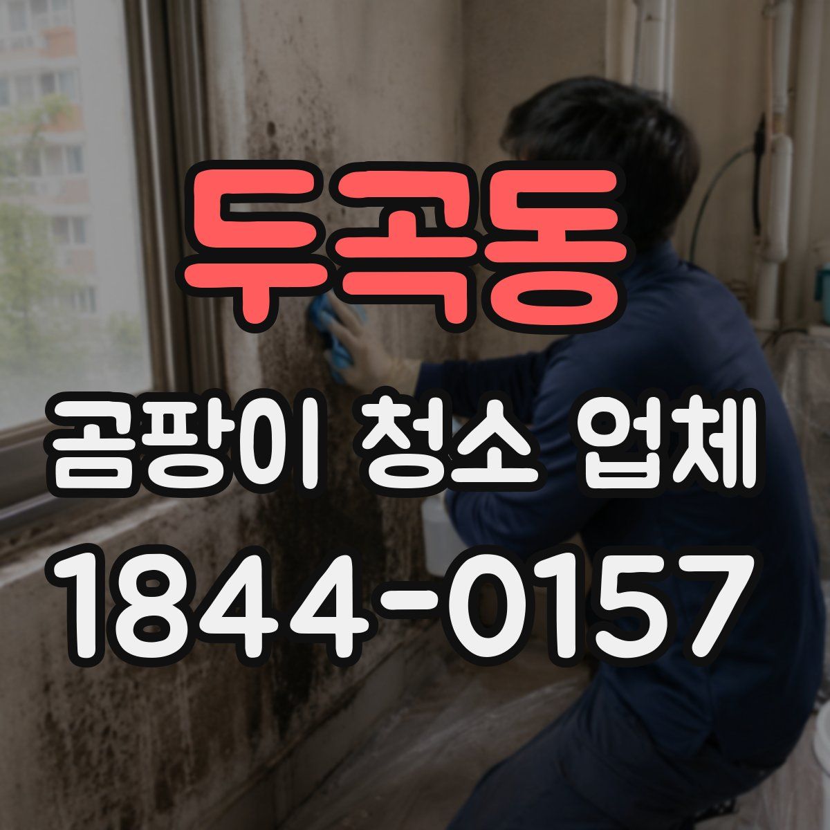 두곡동 곰팡이 청소 업체