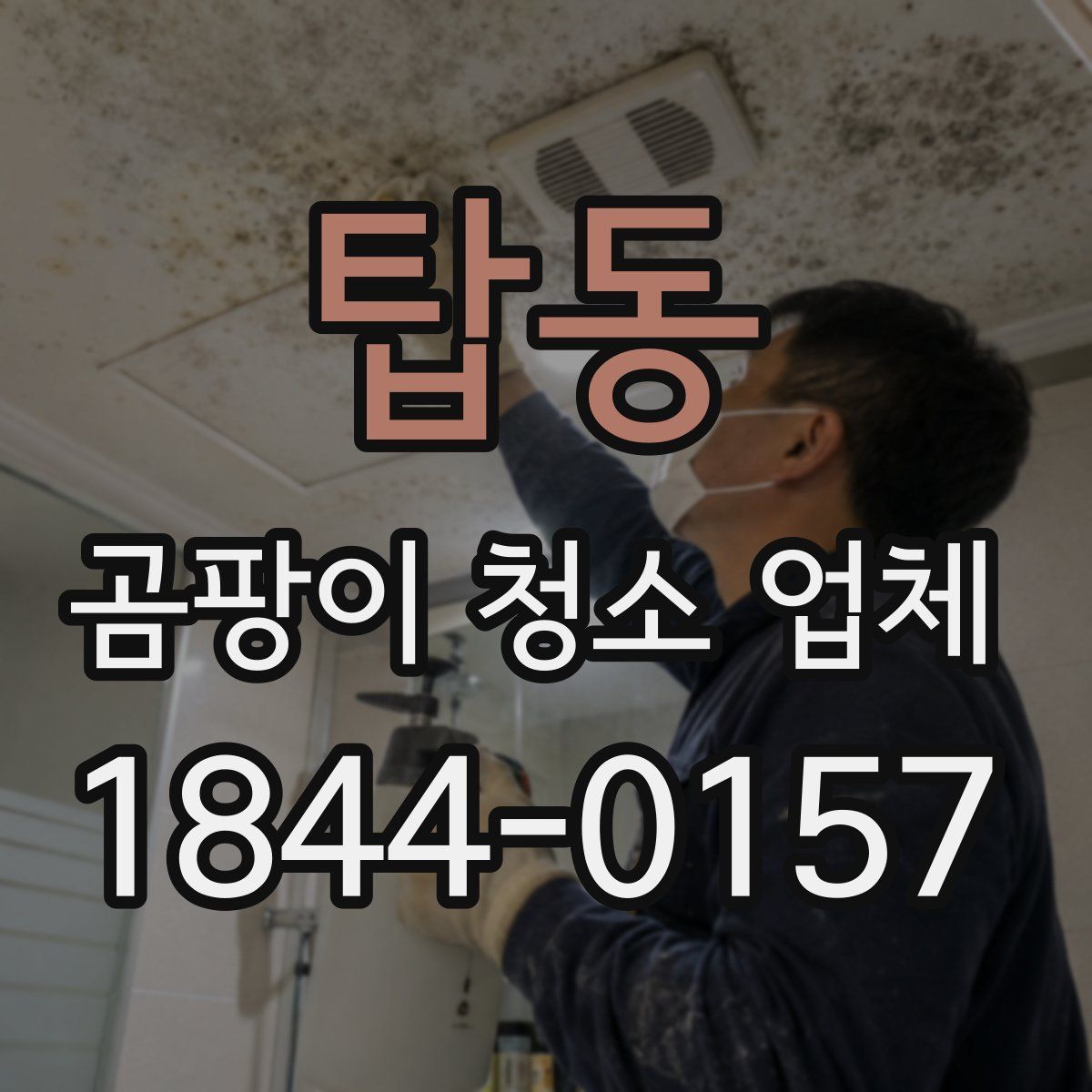 탑동 곰팡이 청소 업체