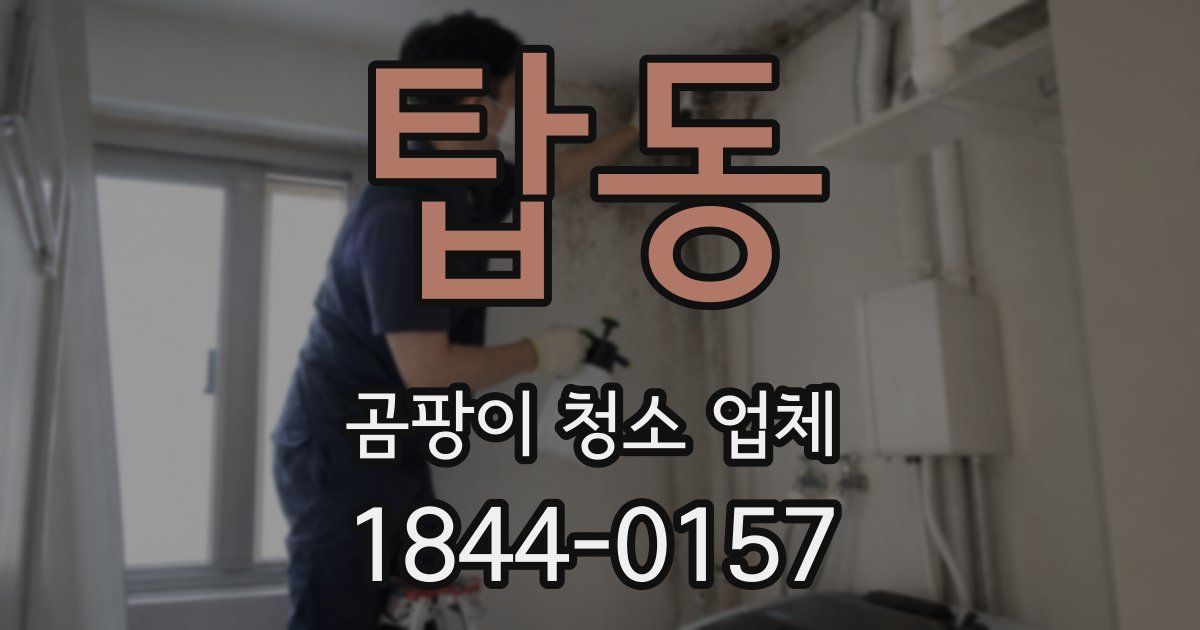 탑동 곰팡이 청소 업체