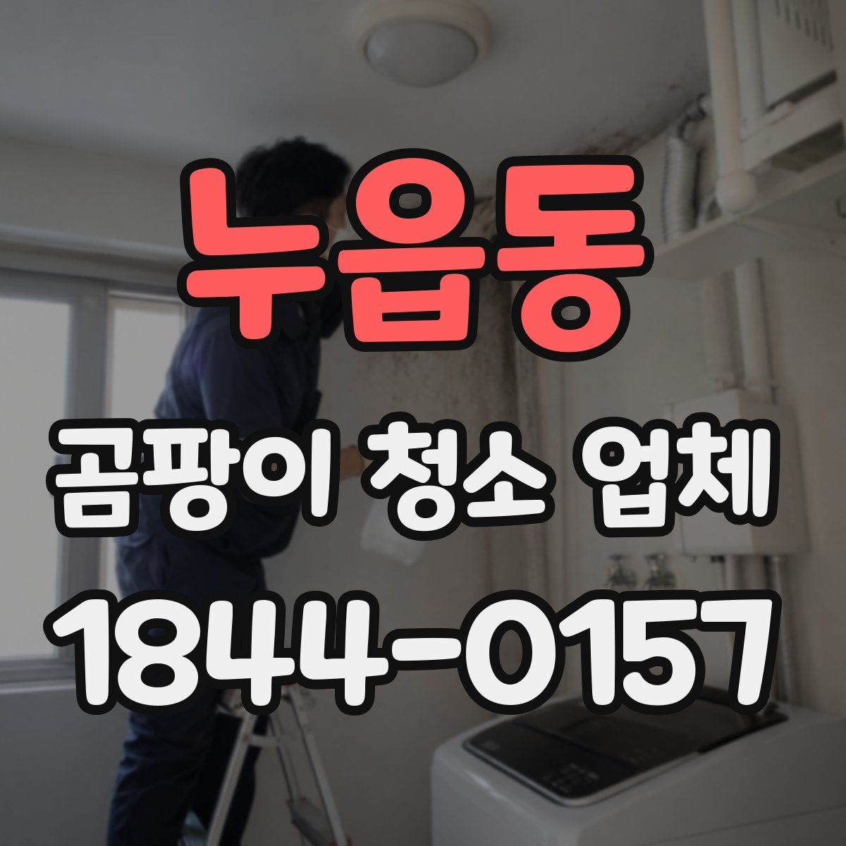 누읍동 곰팡이 청소 업체
