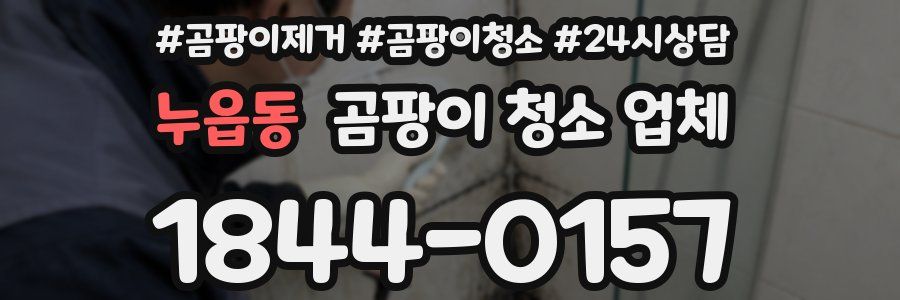 누읍동 곰팡이 청소 업체