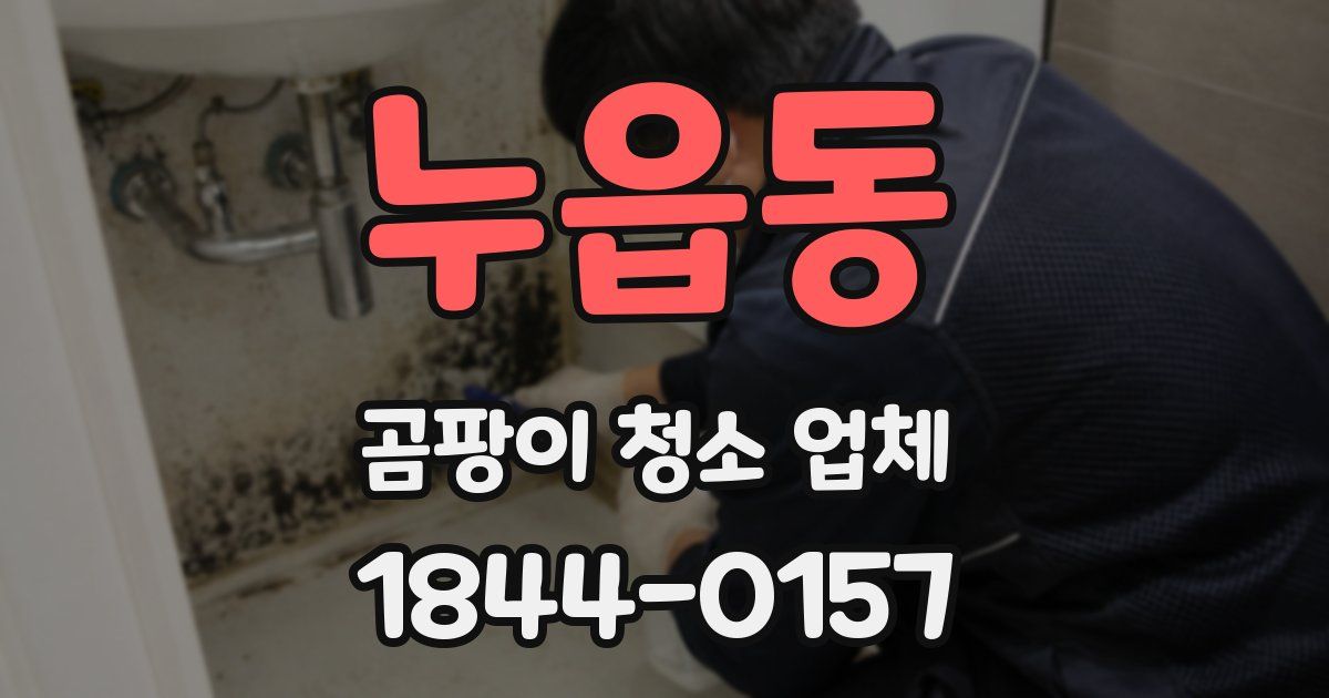 누읍동 곰팡이 청소 업체