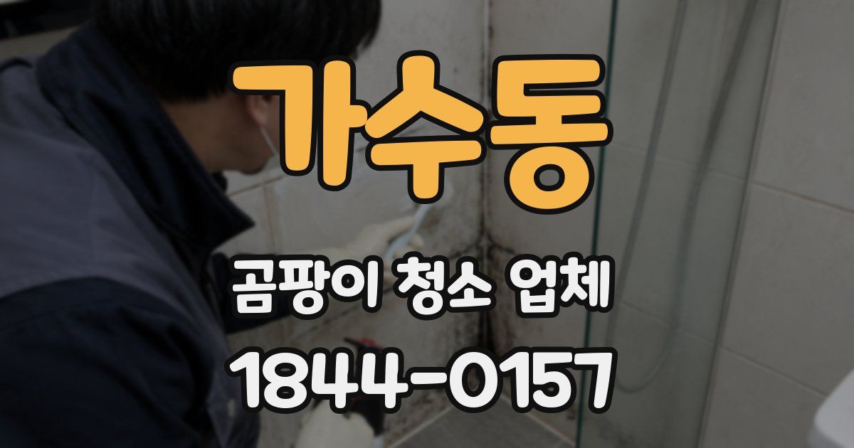 가수동 곰팡이 청소 업체
